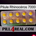 Pilule Rhinocéros 7000 new11